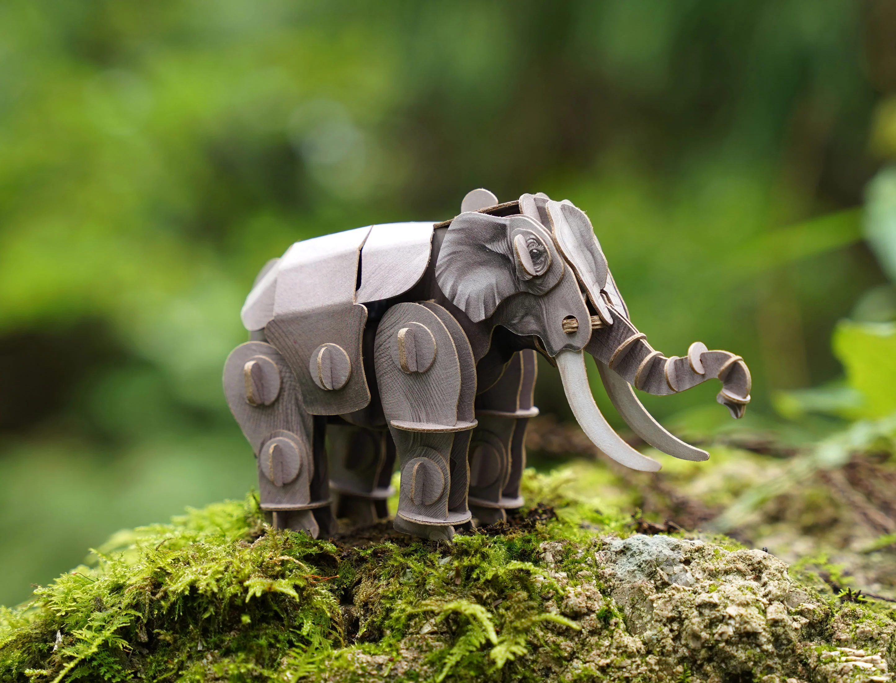 Asian Elephant Voices of Nature Wood Model Kit - Image 6