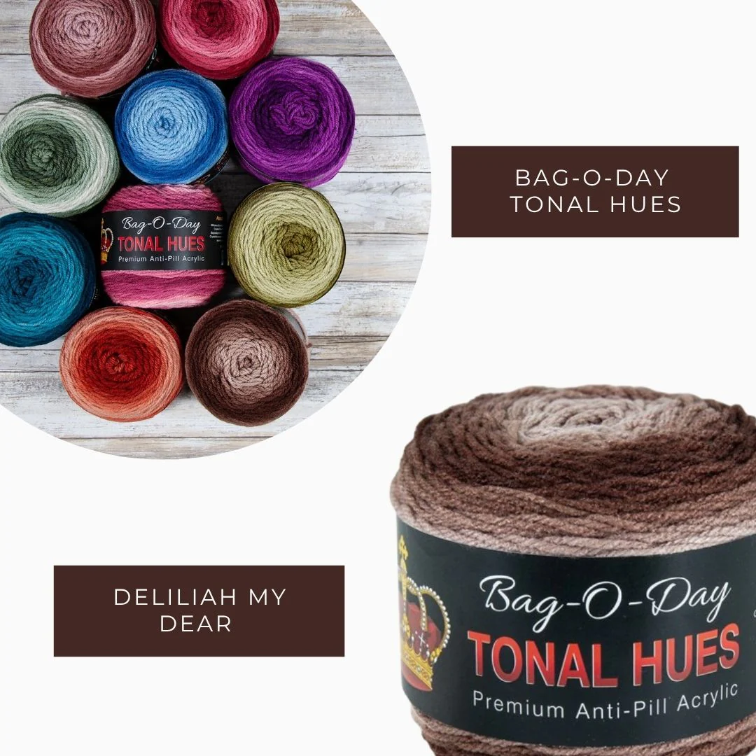 Bag-O-Day Tonal Hues Yarn - Image 39