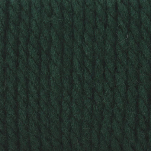 Bernat Softee Chunky Yarn - Image 19