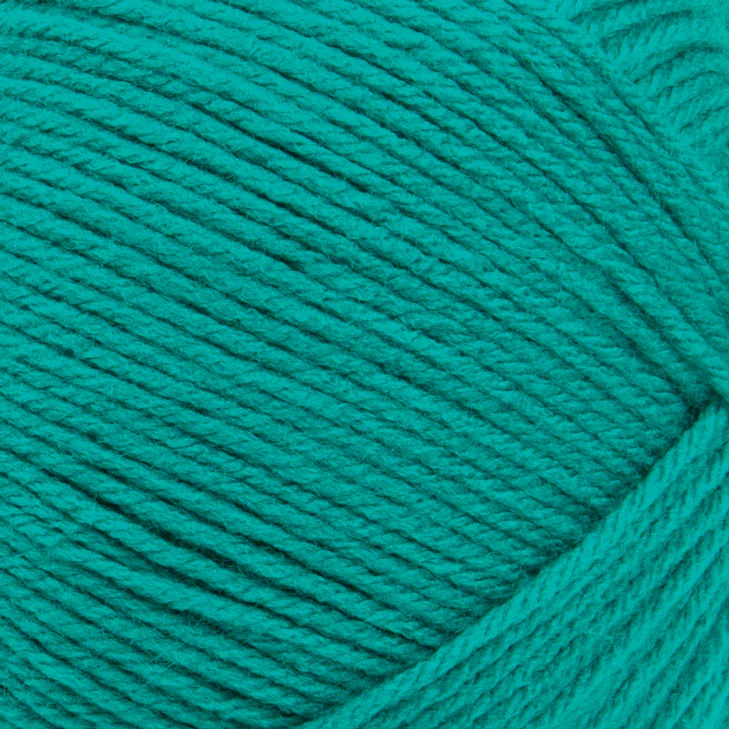 Big Twist Pound Plus Yarn - Image 2