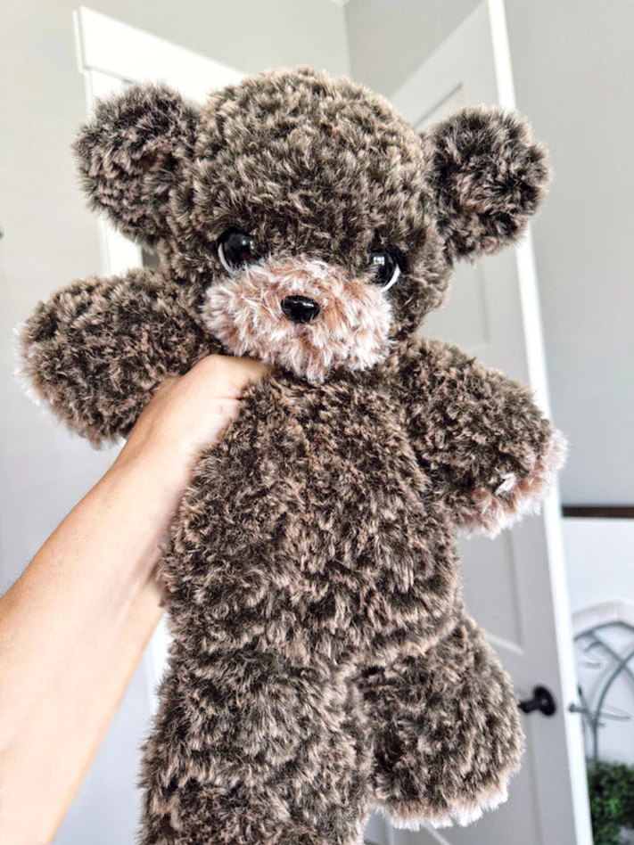 Biscuits the Bear - Image 5