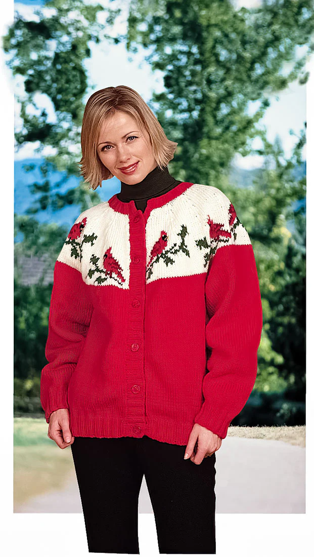 Cardinal Cardigan Pattern - Image 2