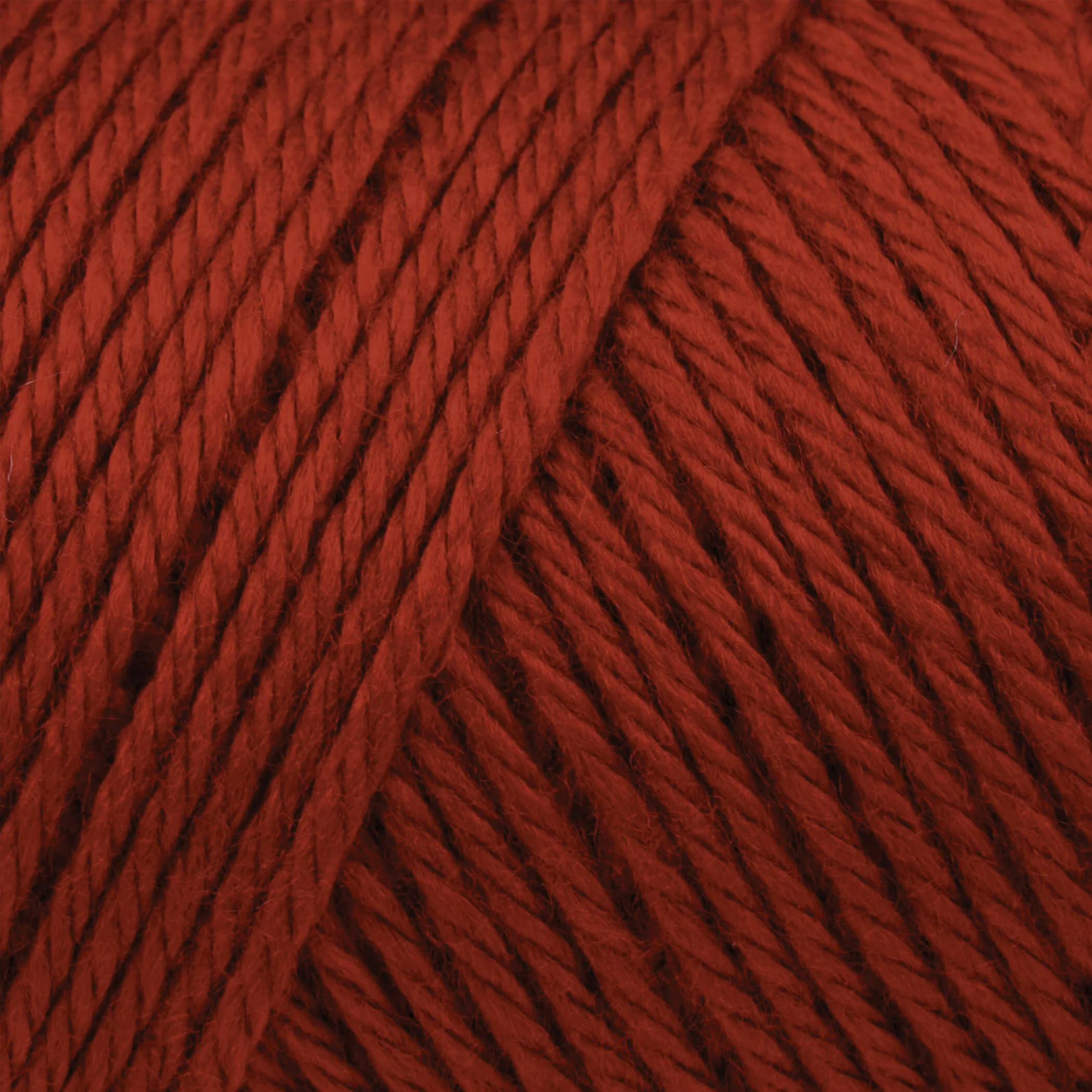 Caron Simply Soft Yarn - Image 103