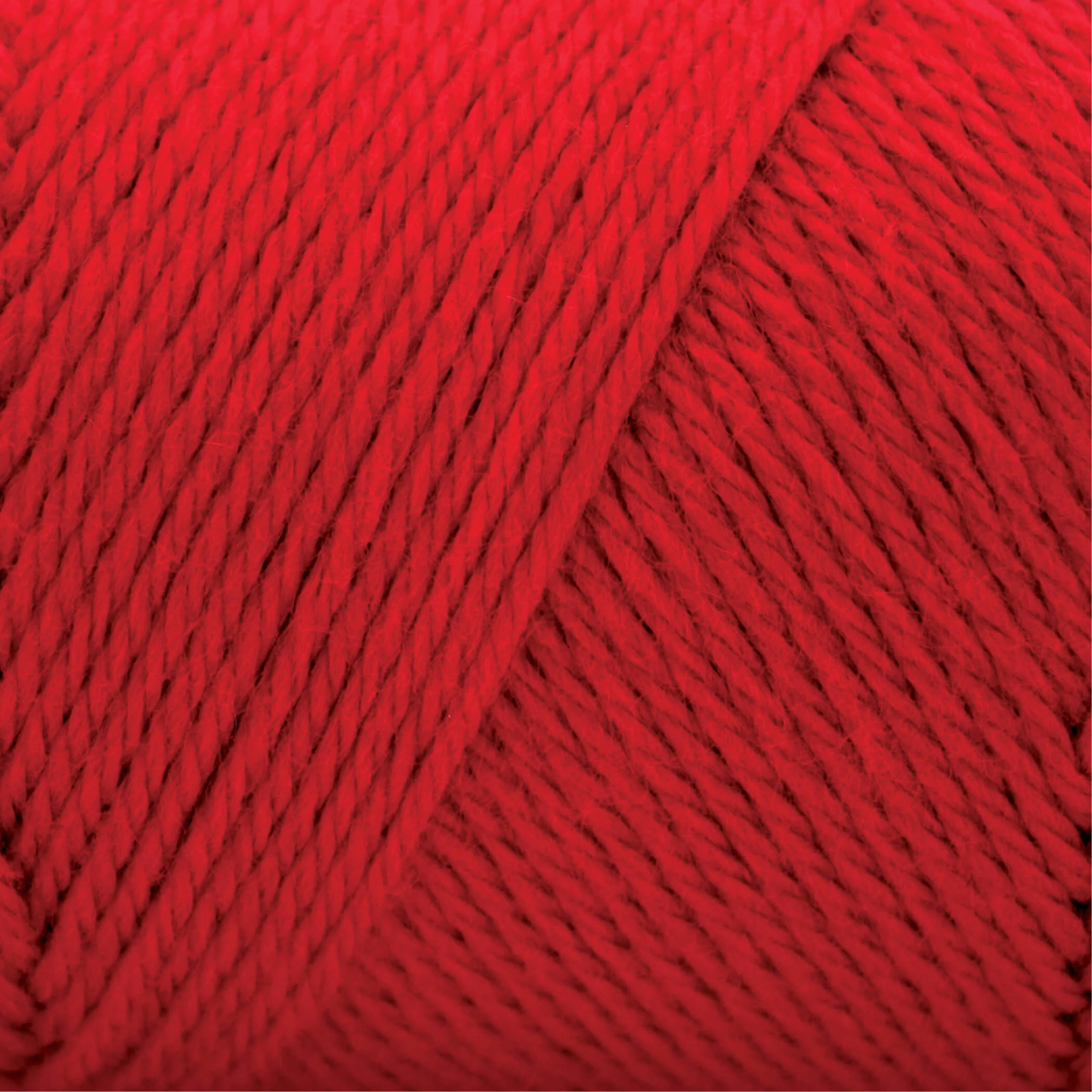 Caron Simply Soft Yarn - Image 134