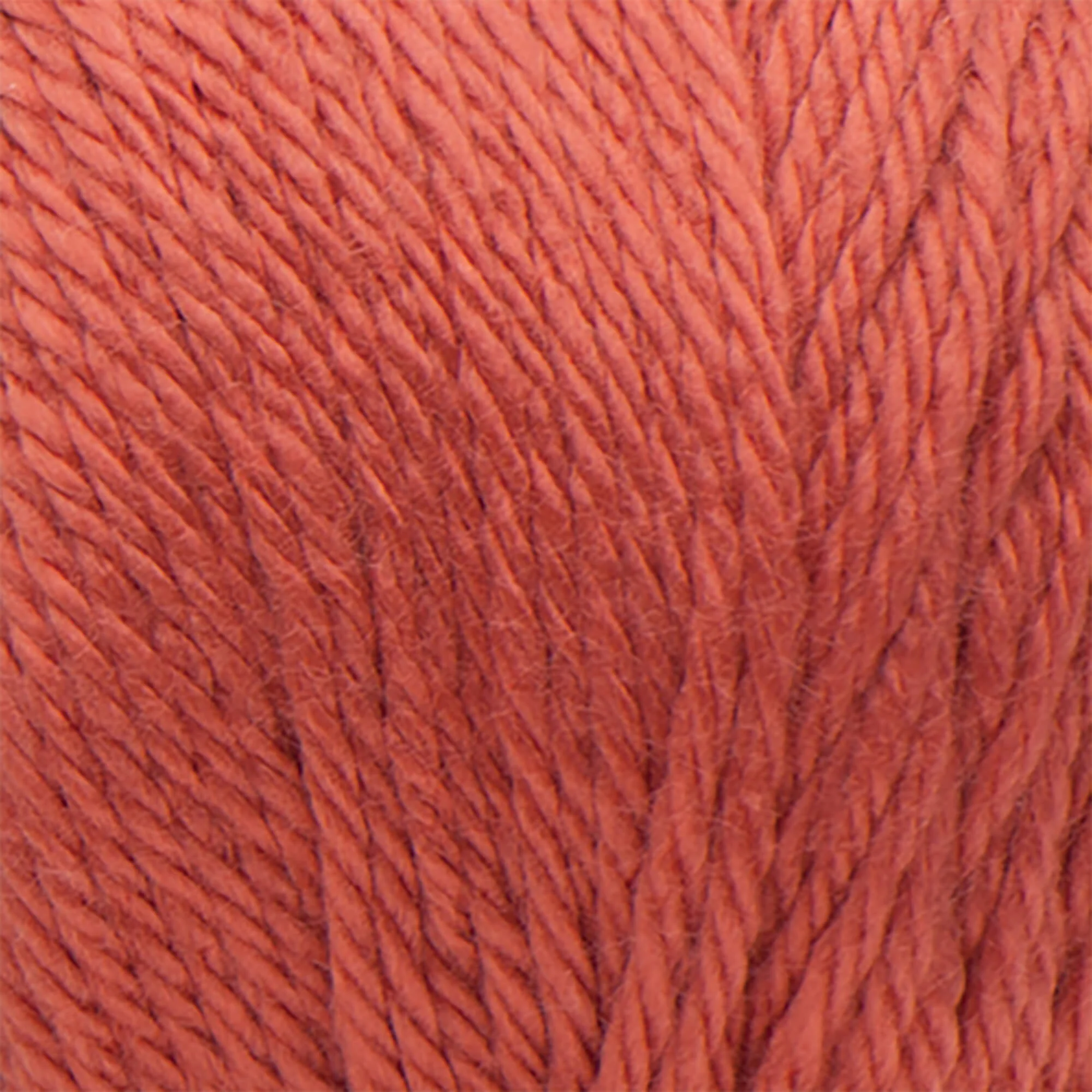 Caron Simply Soft Yarn - Image 136