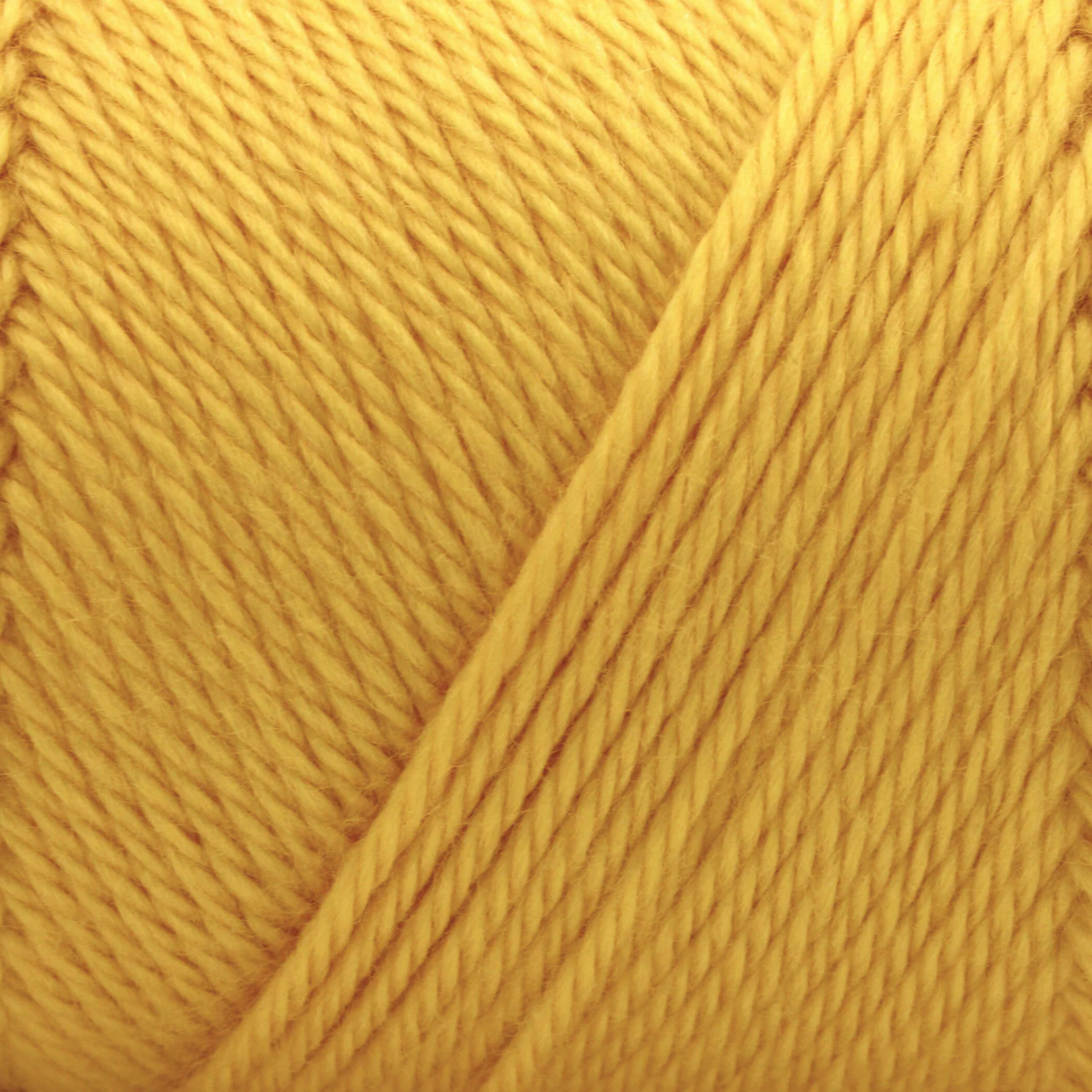Caron Simply Soft Yarn - Image 139