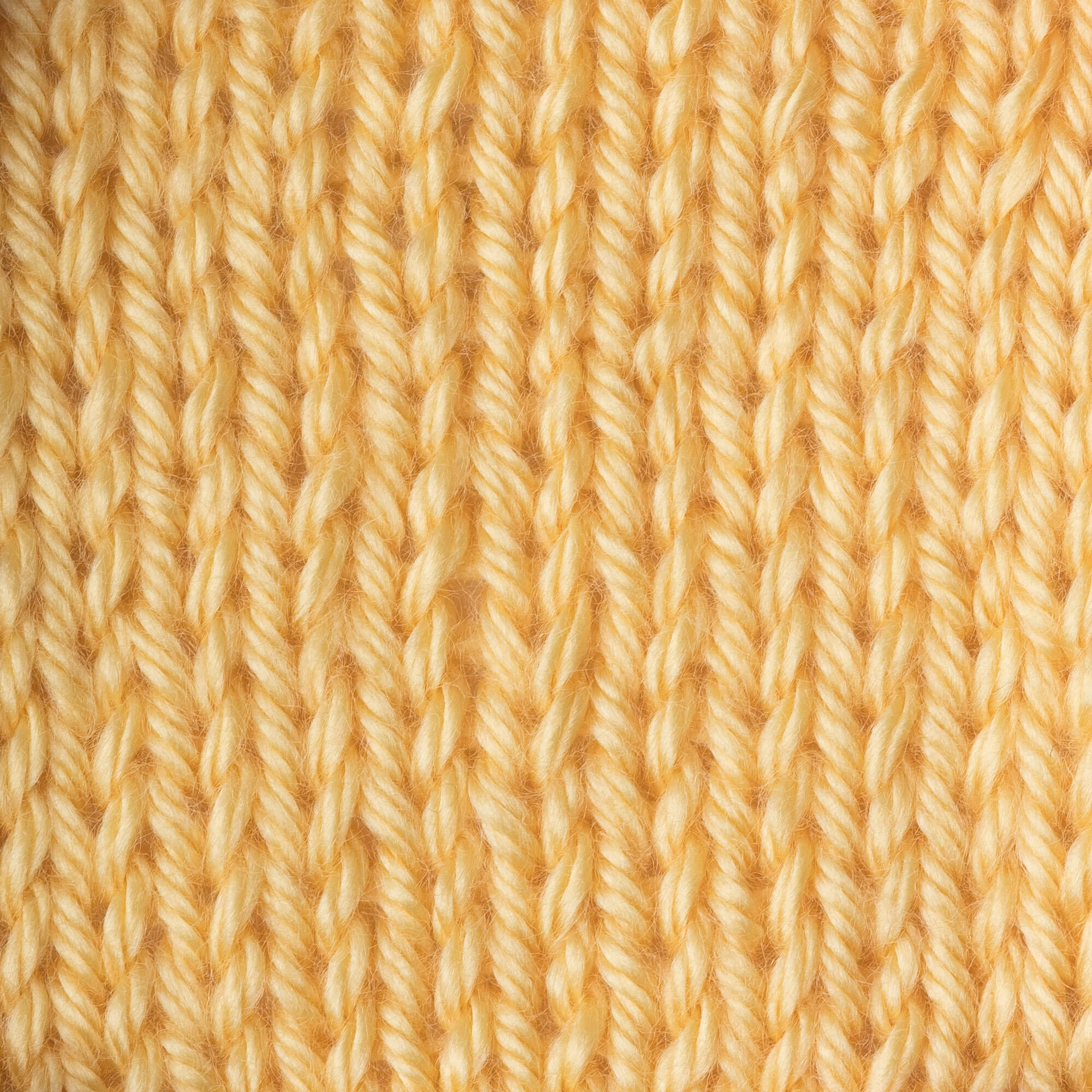 Caron Simply Soft Yarn - Image 140