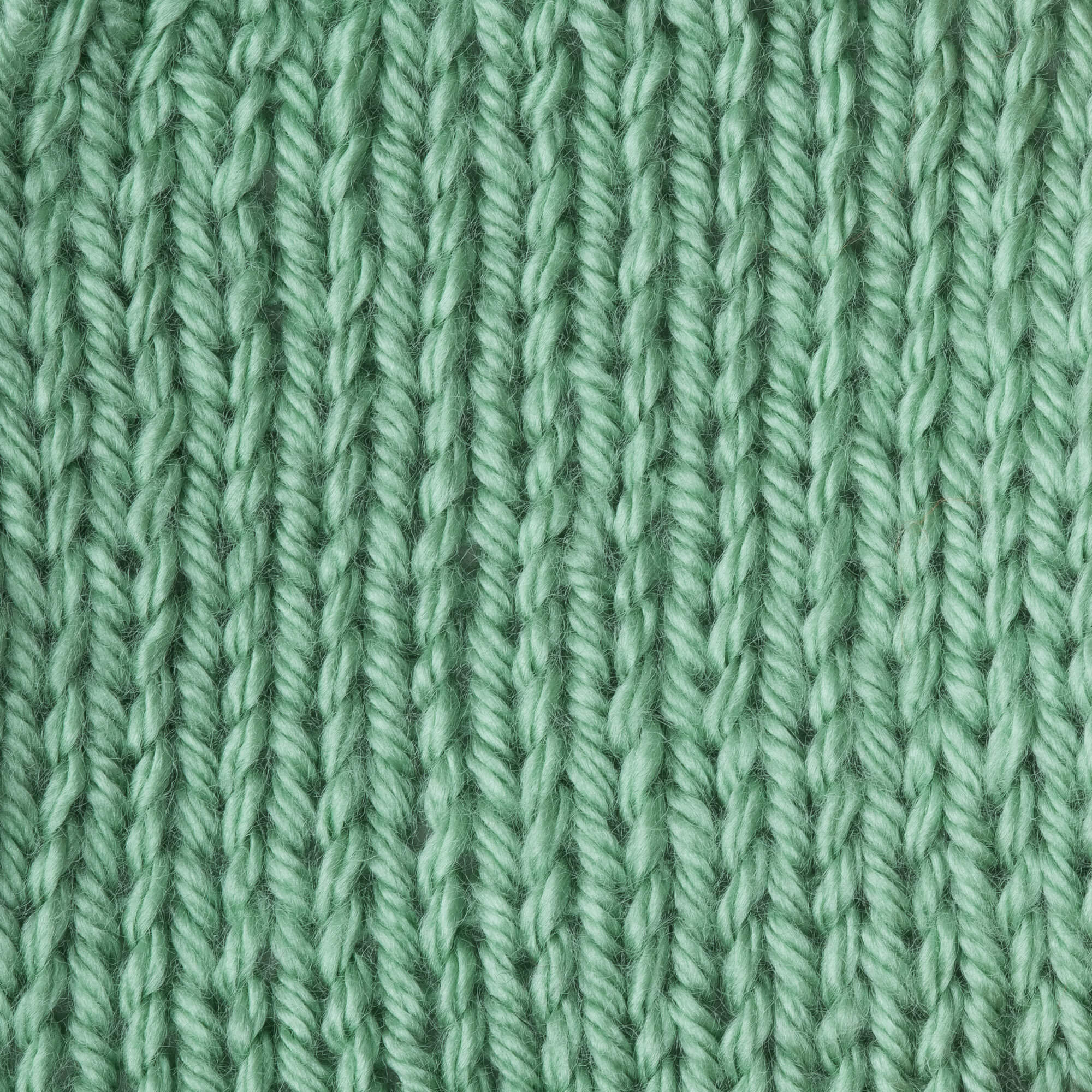 Caron Simply Soft Yarn - Image 146