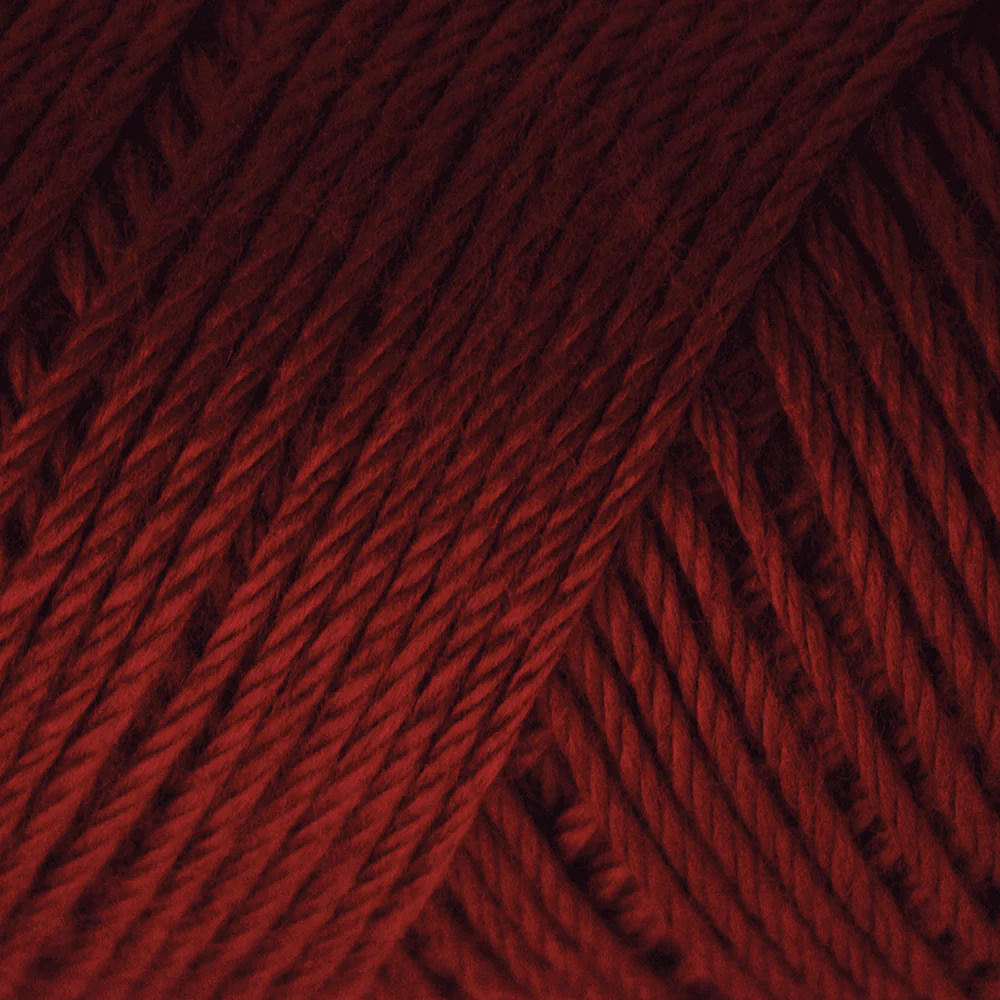 Caron Simply Soft Yarn - Image 16