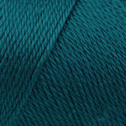 Caron Simply Soft Yarn - Image 3