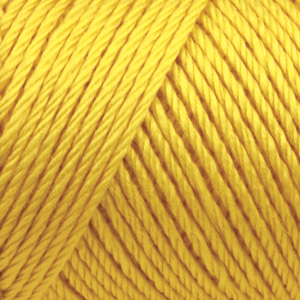 Caron Simply Soft Yarn - Image 43