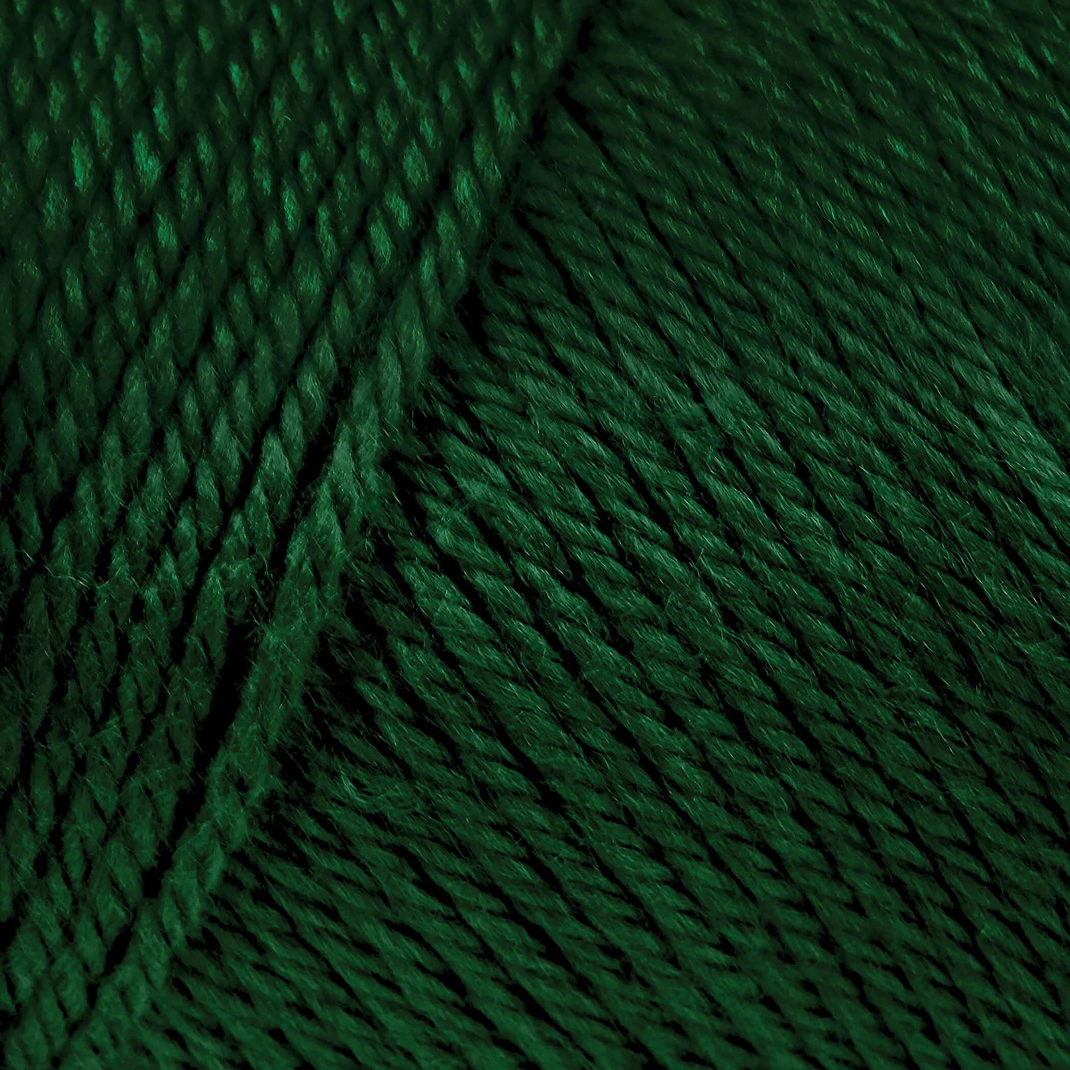 Caron Simply Soft Yarn - Image 75