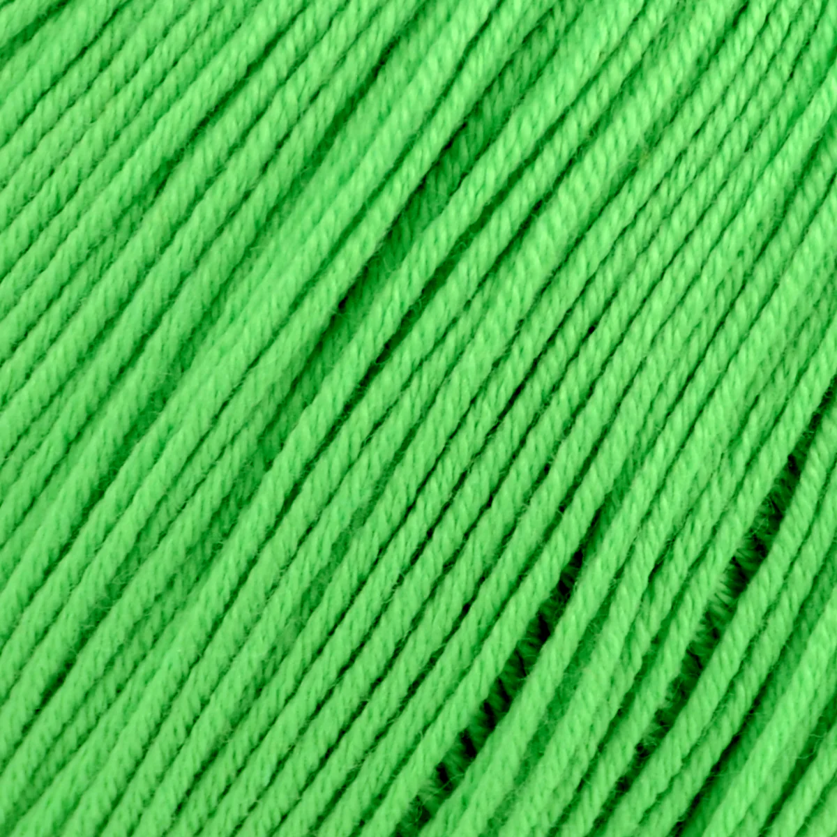Celia Cocoon - Image 10