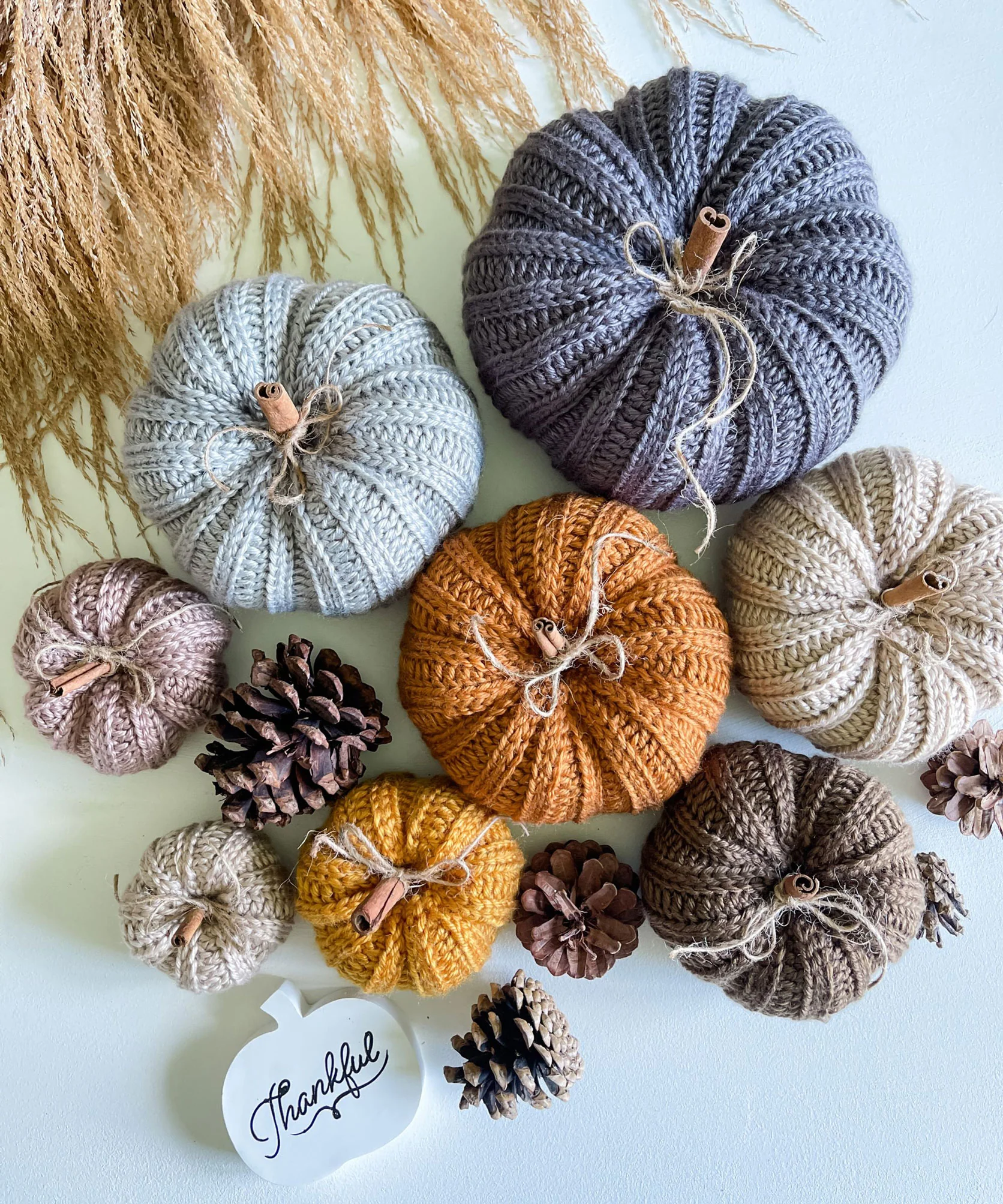 Country Harvest Pumpkins - Image 3