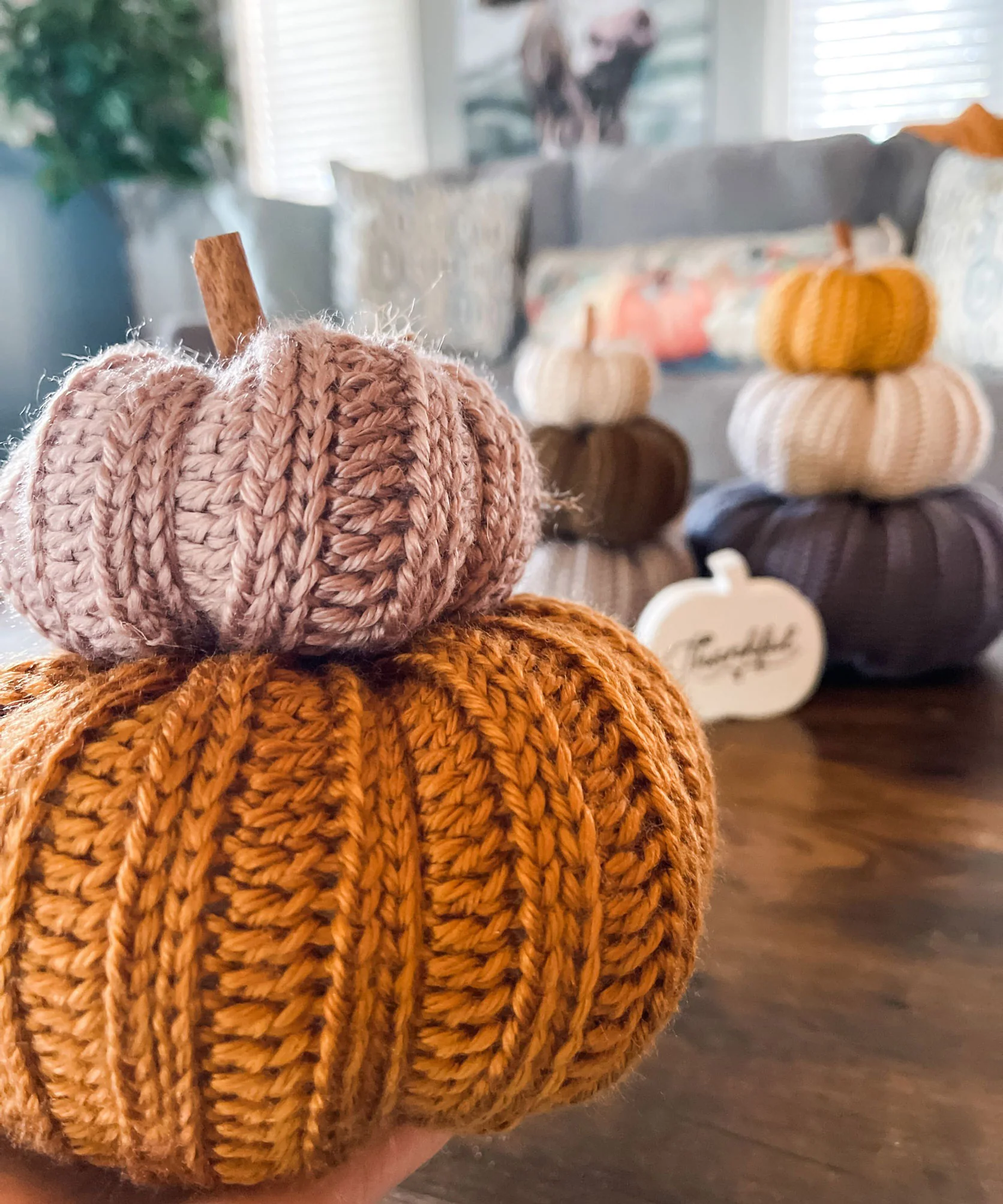 Country Harvest Pumpkins - Image 4