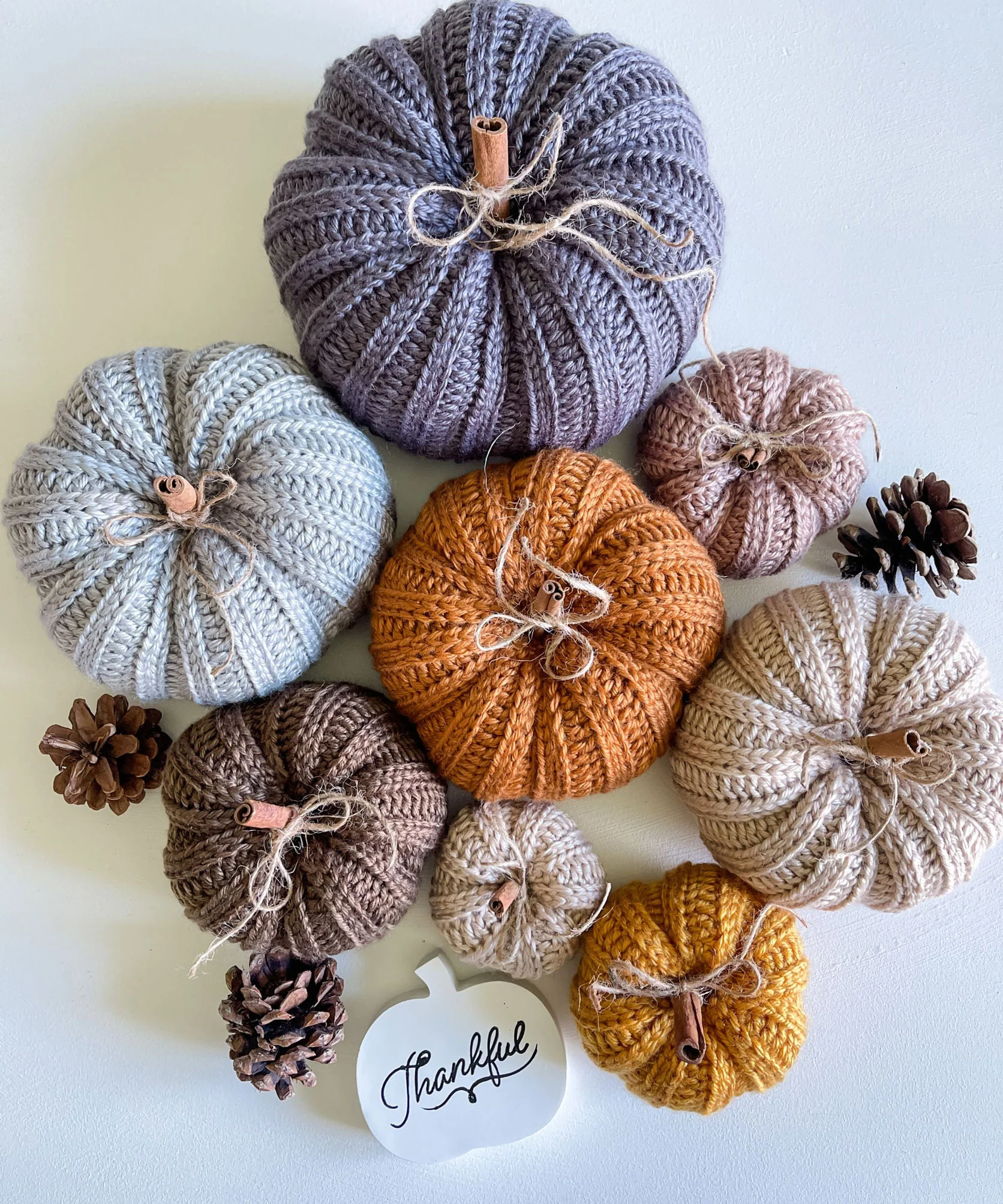 Country Harvest Pumpkins - Image 6