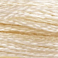 DMC Embroidery Floss _White, Ecru - 471 - Image 102