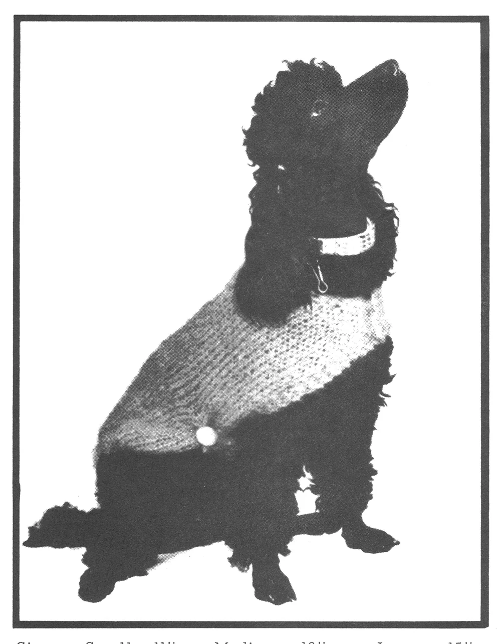 Doggie Windbreaker Pattern - Image 2