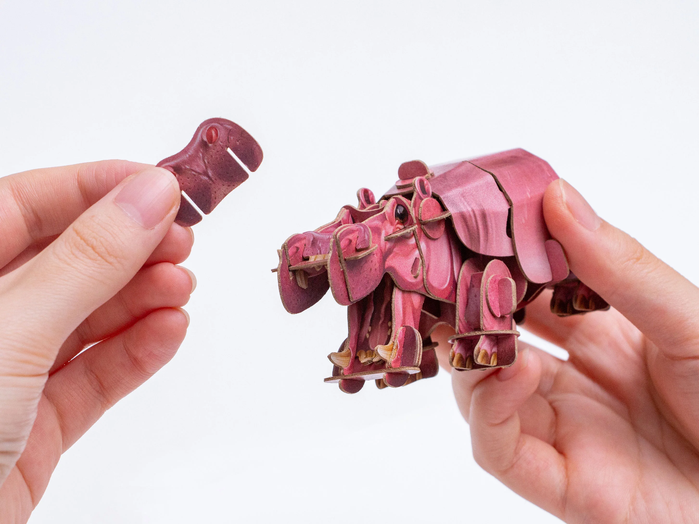 Hippo Voices of Nature Wood Model Kit - Image 3