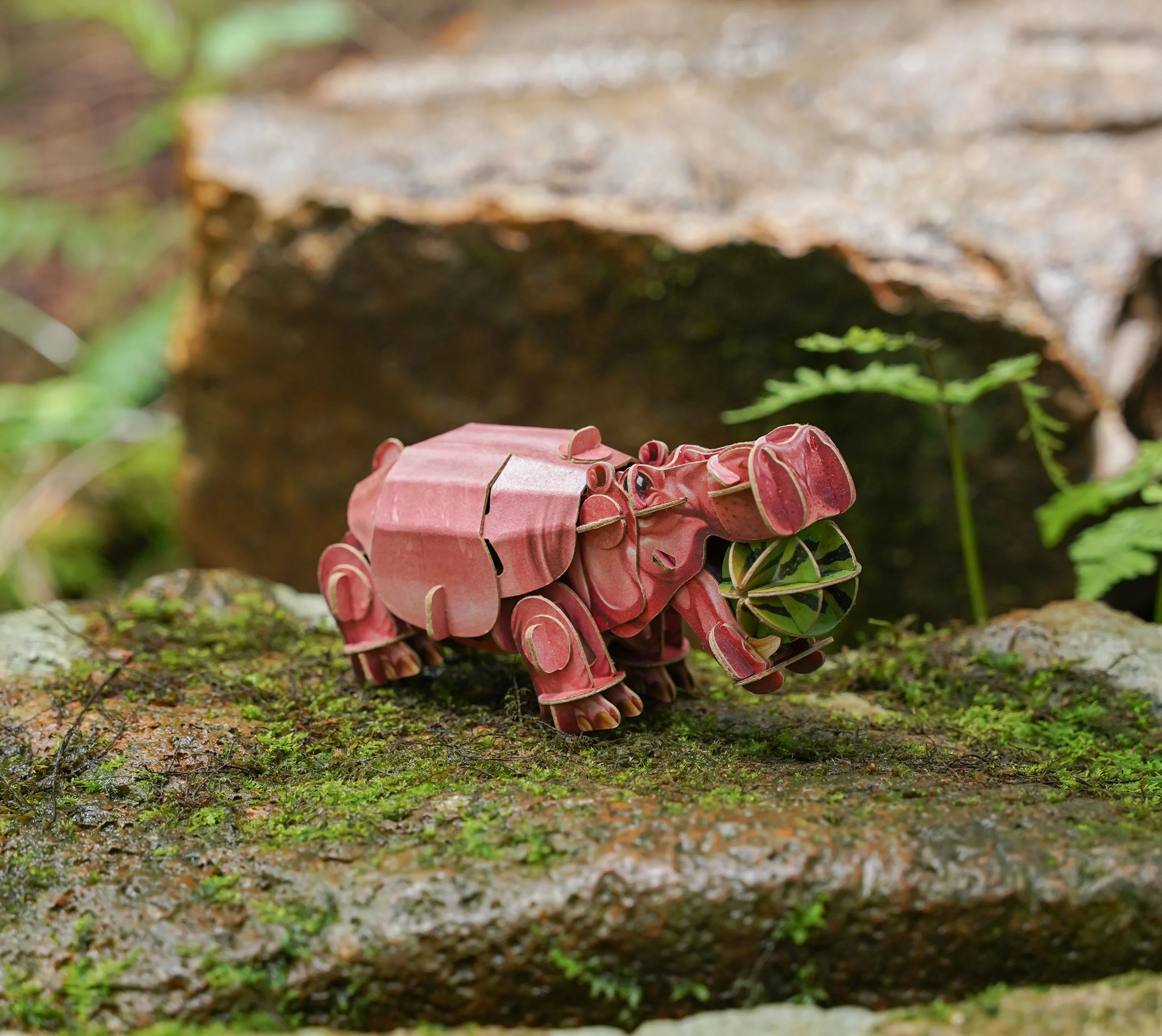 Hippo Voices of Nature Wood Model Kit - Image 4