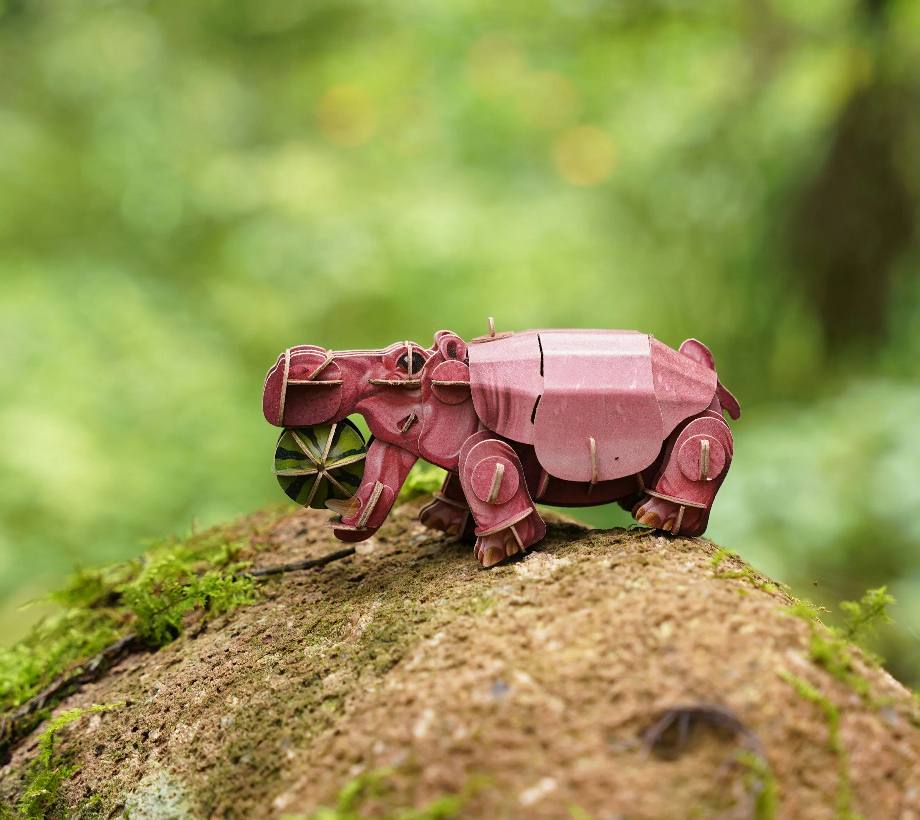 Hippo Voices of Nature Wood Model Kit - Image 5