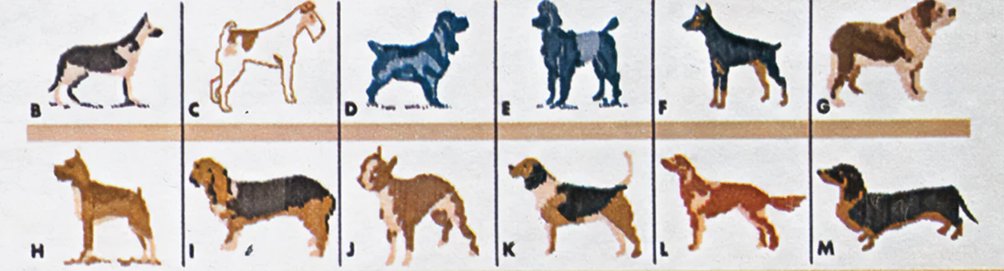Ladies' or Youth's Dog Cardigan Pattern - Image 4