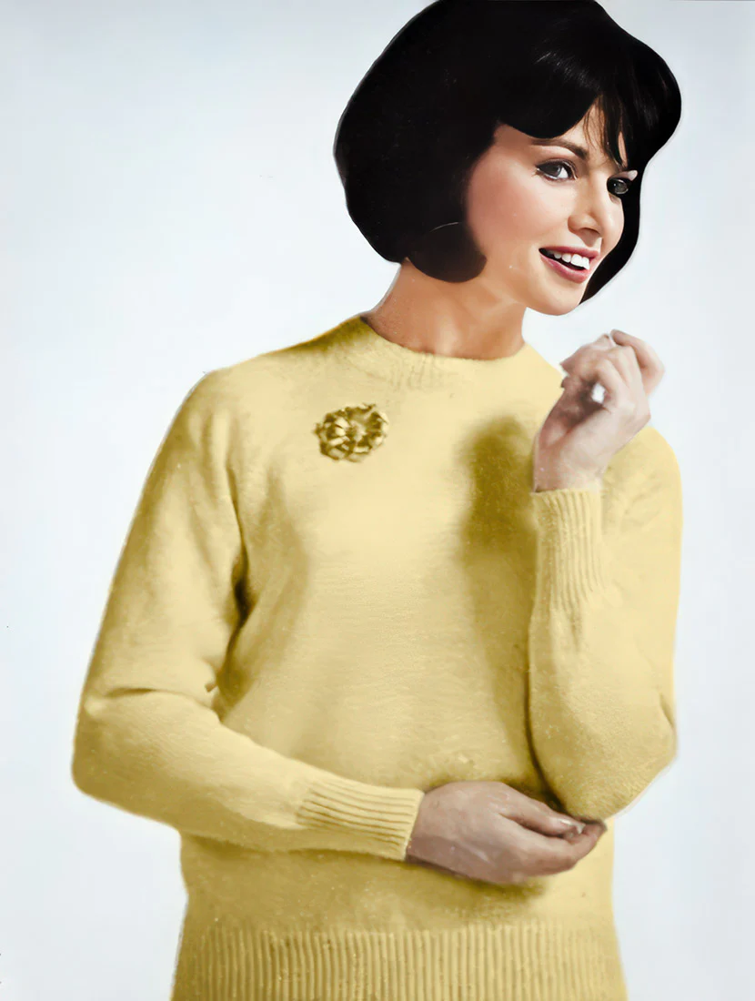 Ladies' or Youths' Cardigans and Pullovers Pattern - Image 3