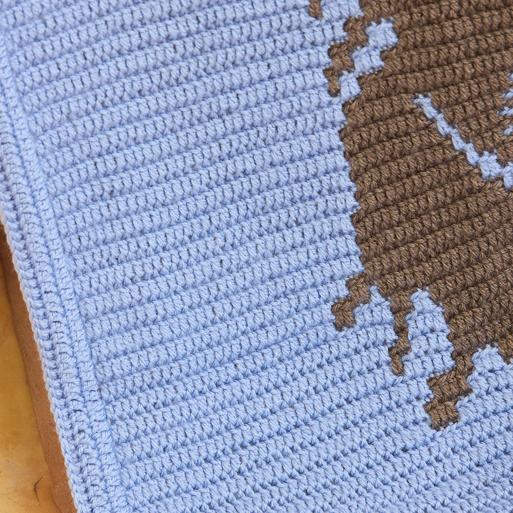 Little Highland Wonder Baby Blanket - Image 7