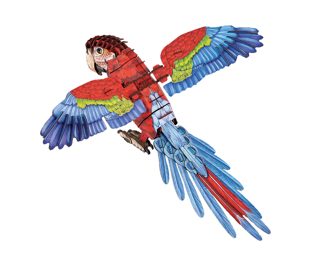 Macaw 3D Bird Puzzle - Image 7