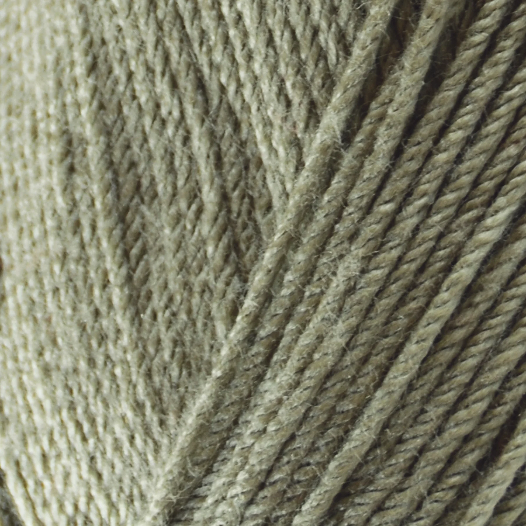 Olivia Cardi - Image 12