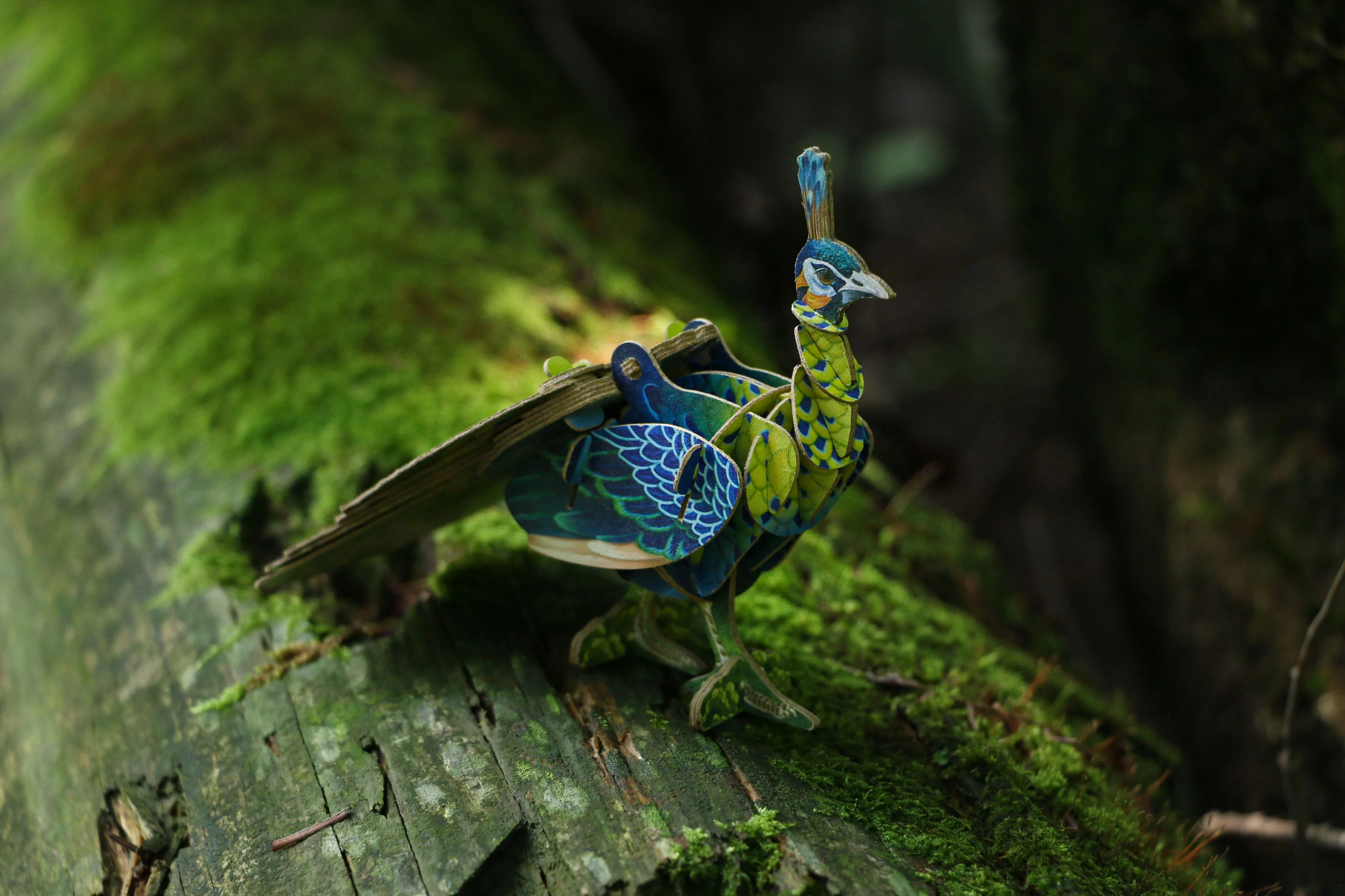 Peacock Voices of Nature Wood Model Kit - Image 3