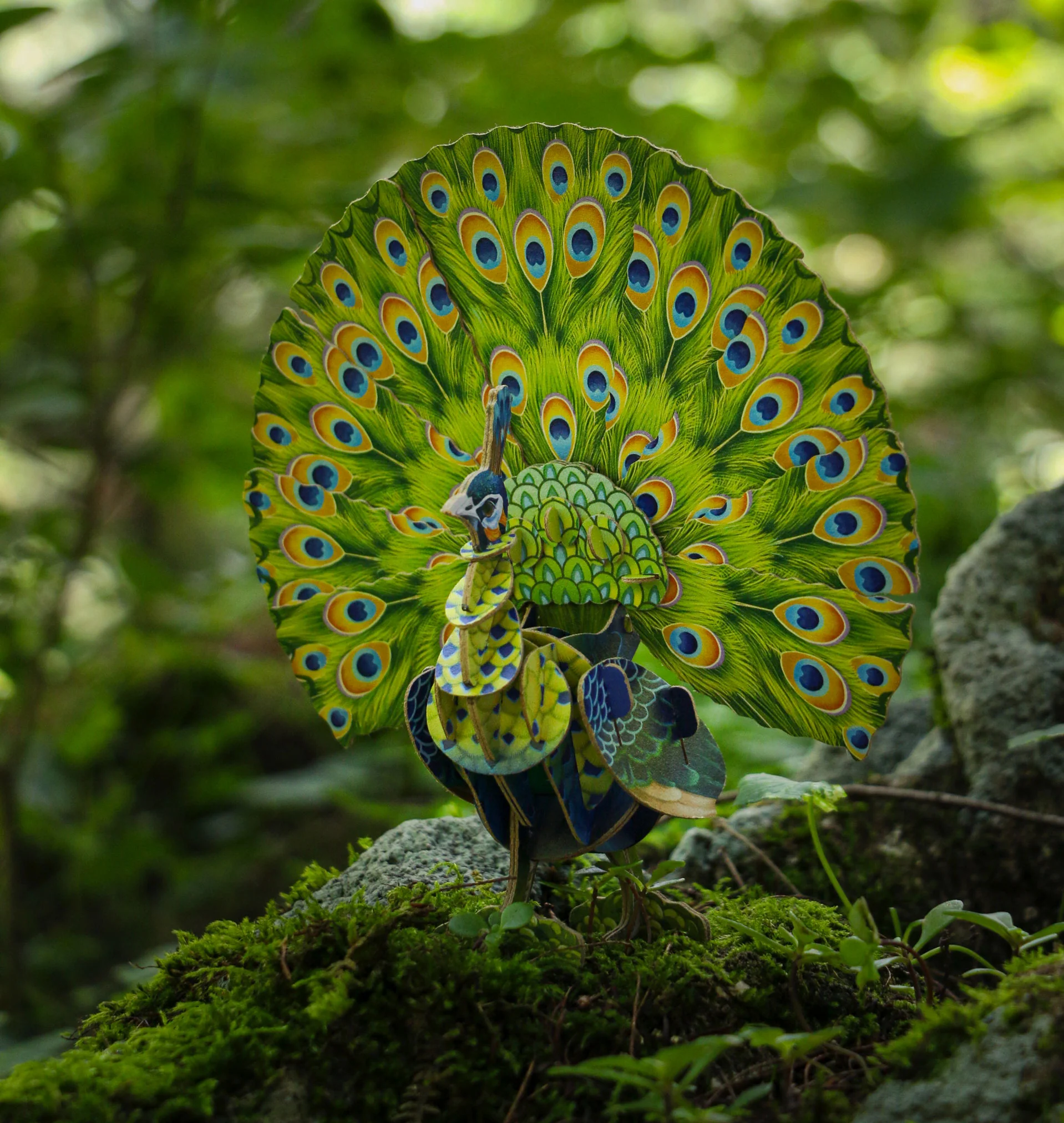 Peacock Voices of Nature Wood Model Kit - Image 4
