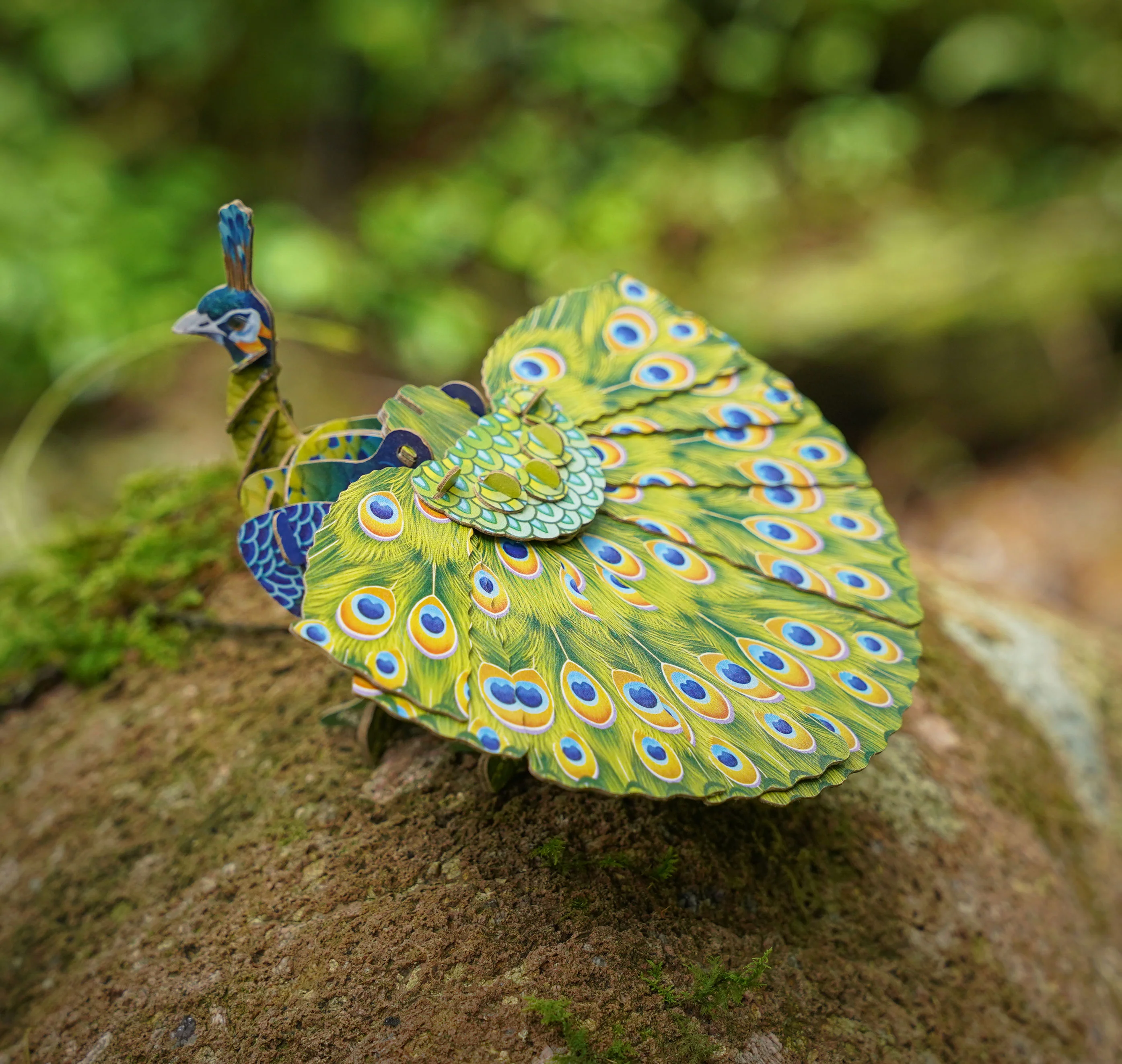 Peacock Voices of Nature Wood Model Kit - Image 5