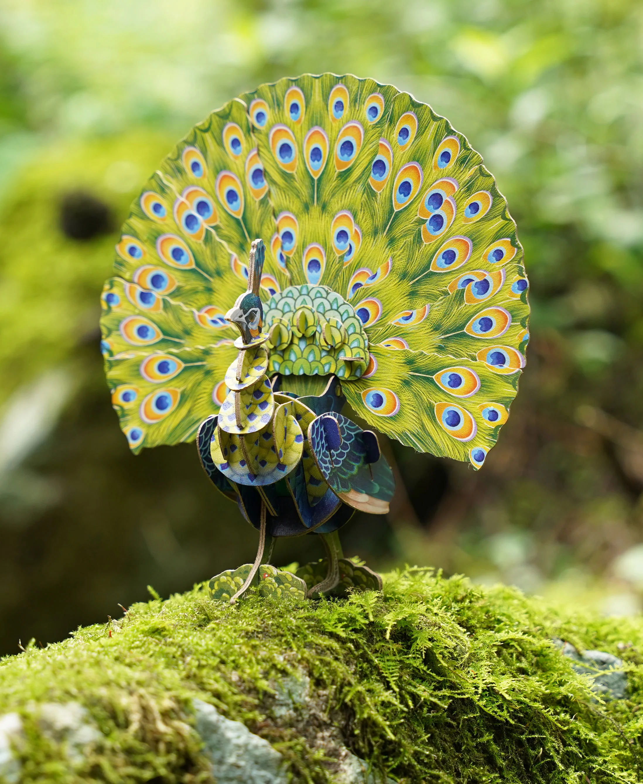 Peacock Voices of Nature Wood Model Kit - Image 6