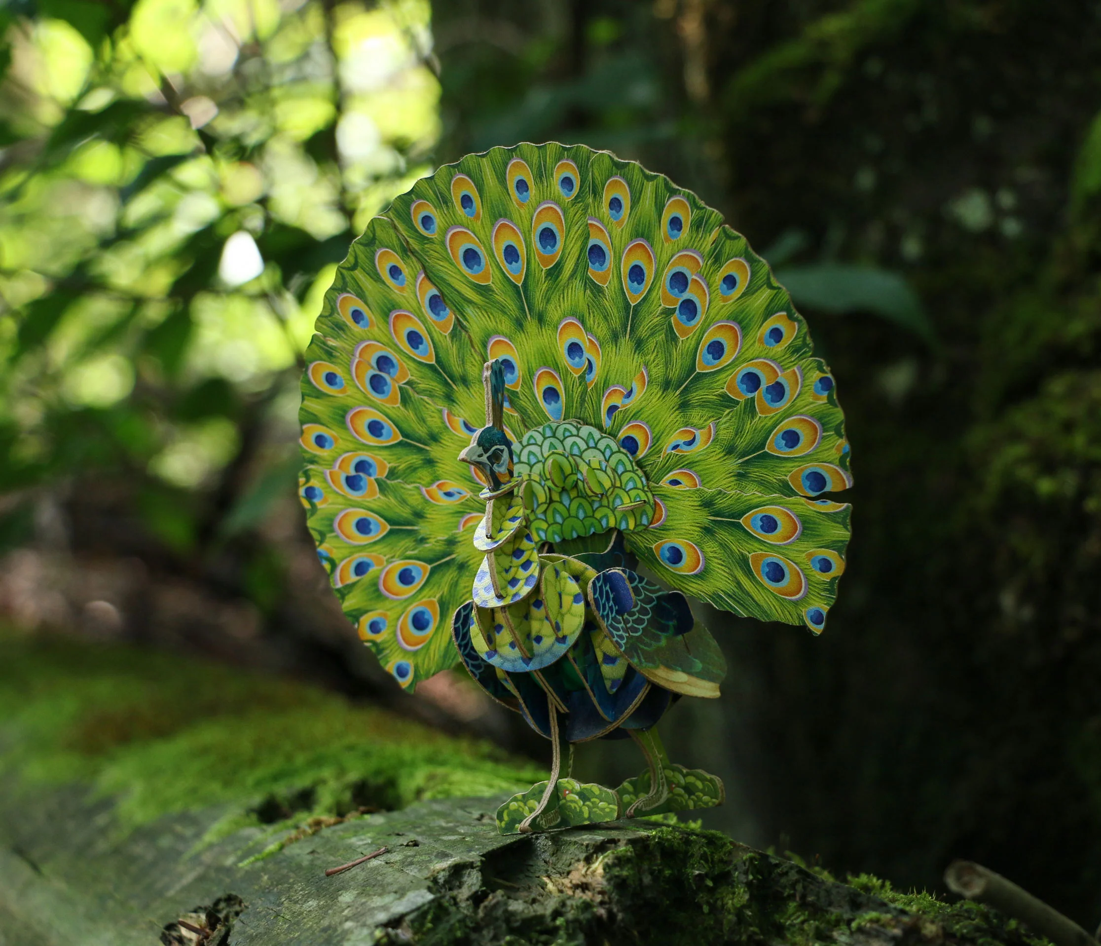 Peacock Voices of Nature Wood Model Kit - Image 7