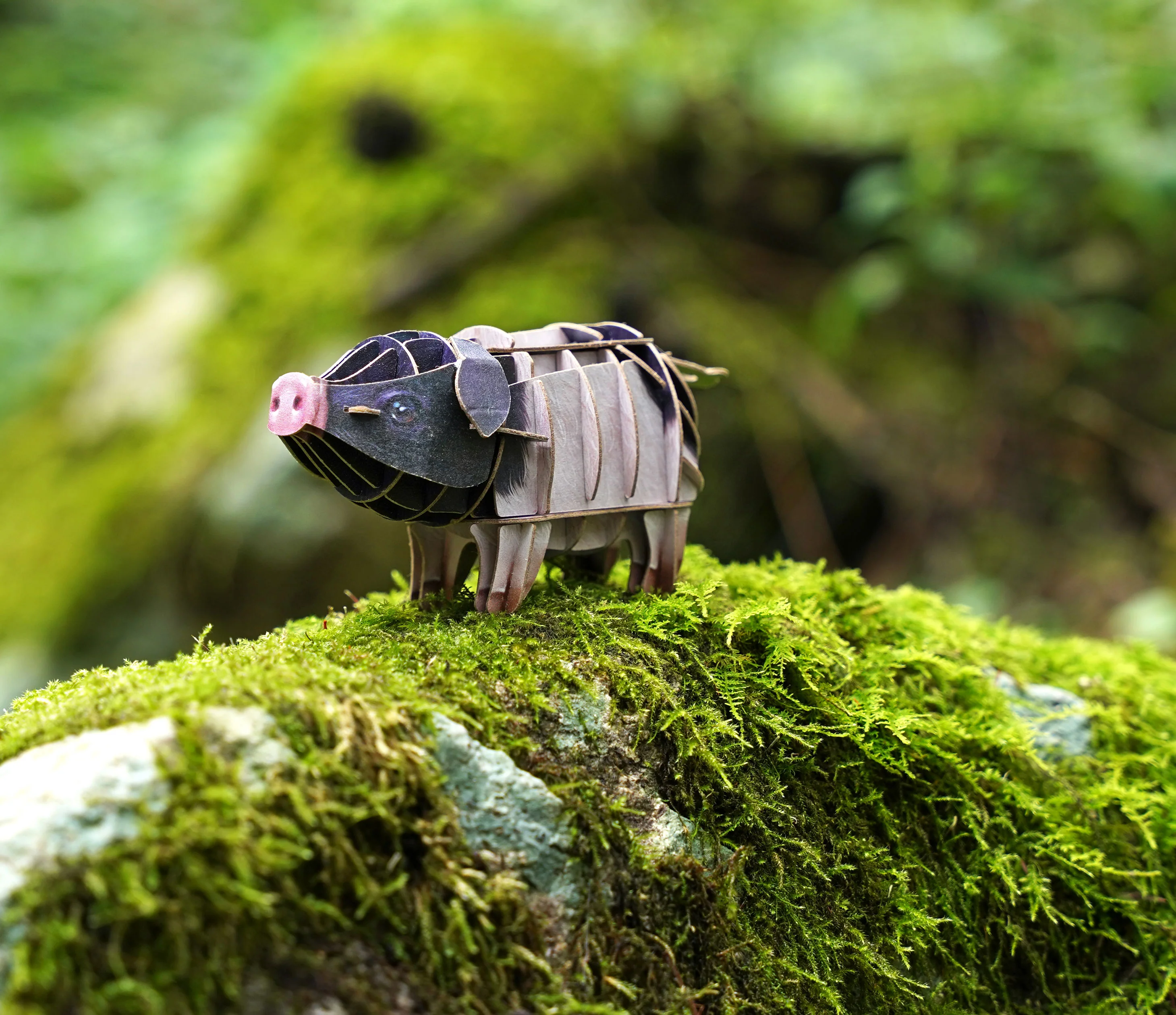 Pig Voices of Nature Wood Model Kit - Image 4