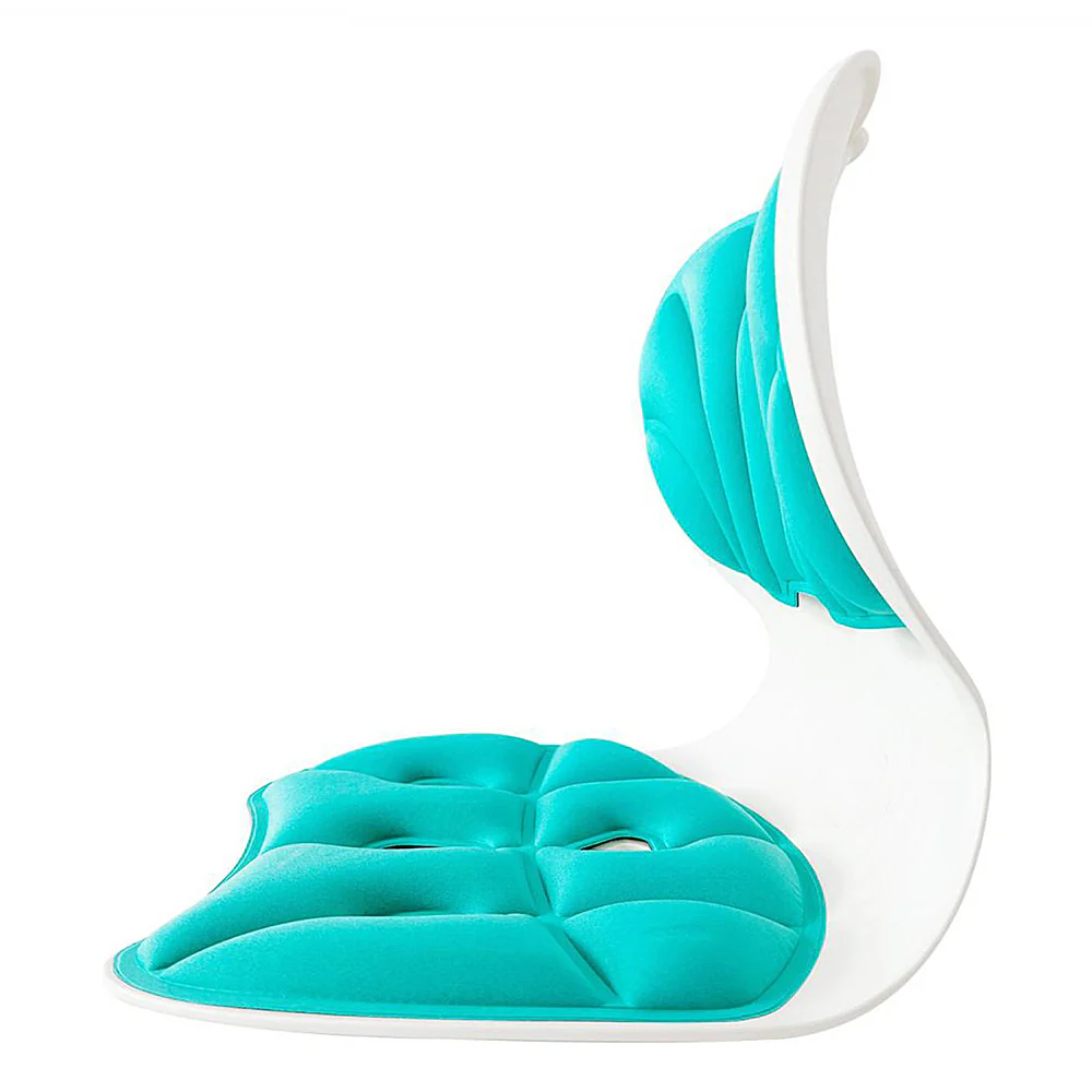 Posture Pro Lumbar Support - Image 5