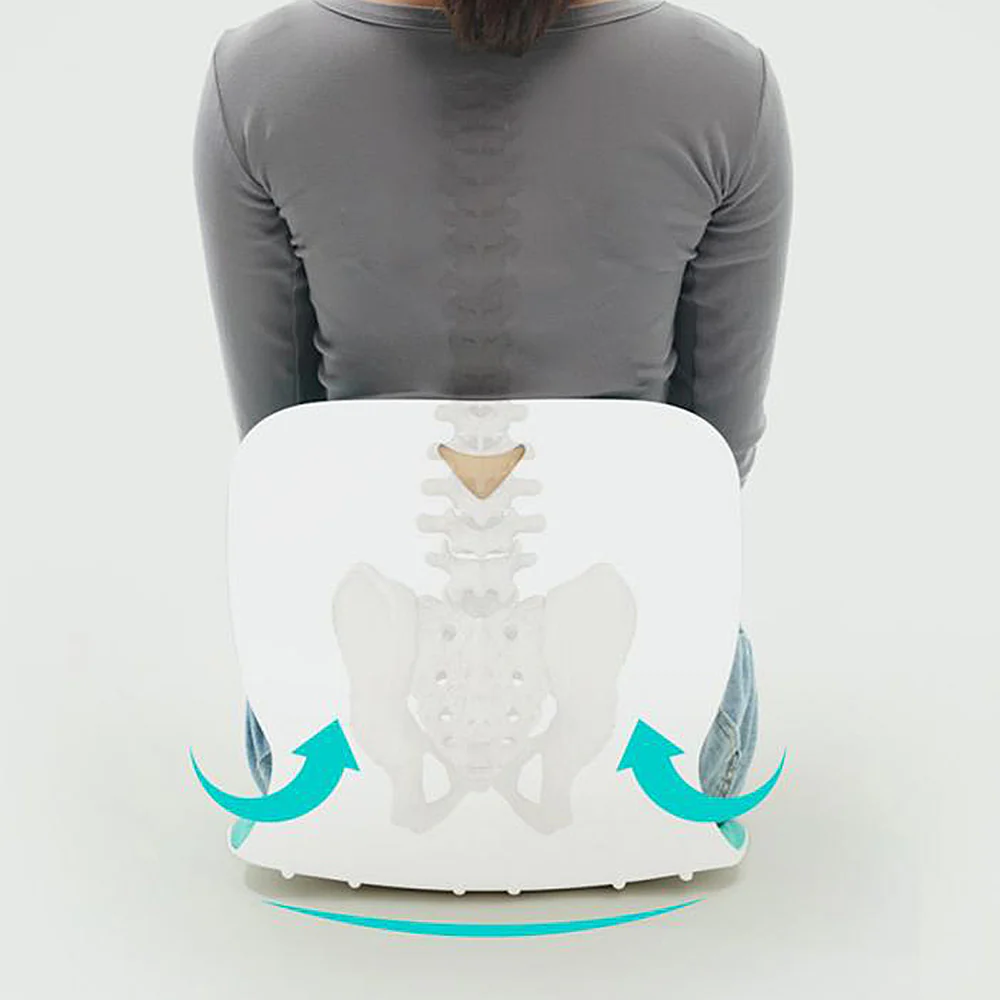 Posture Pro Lumbar Support - Image 6