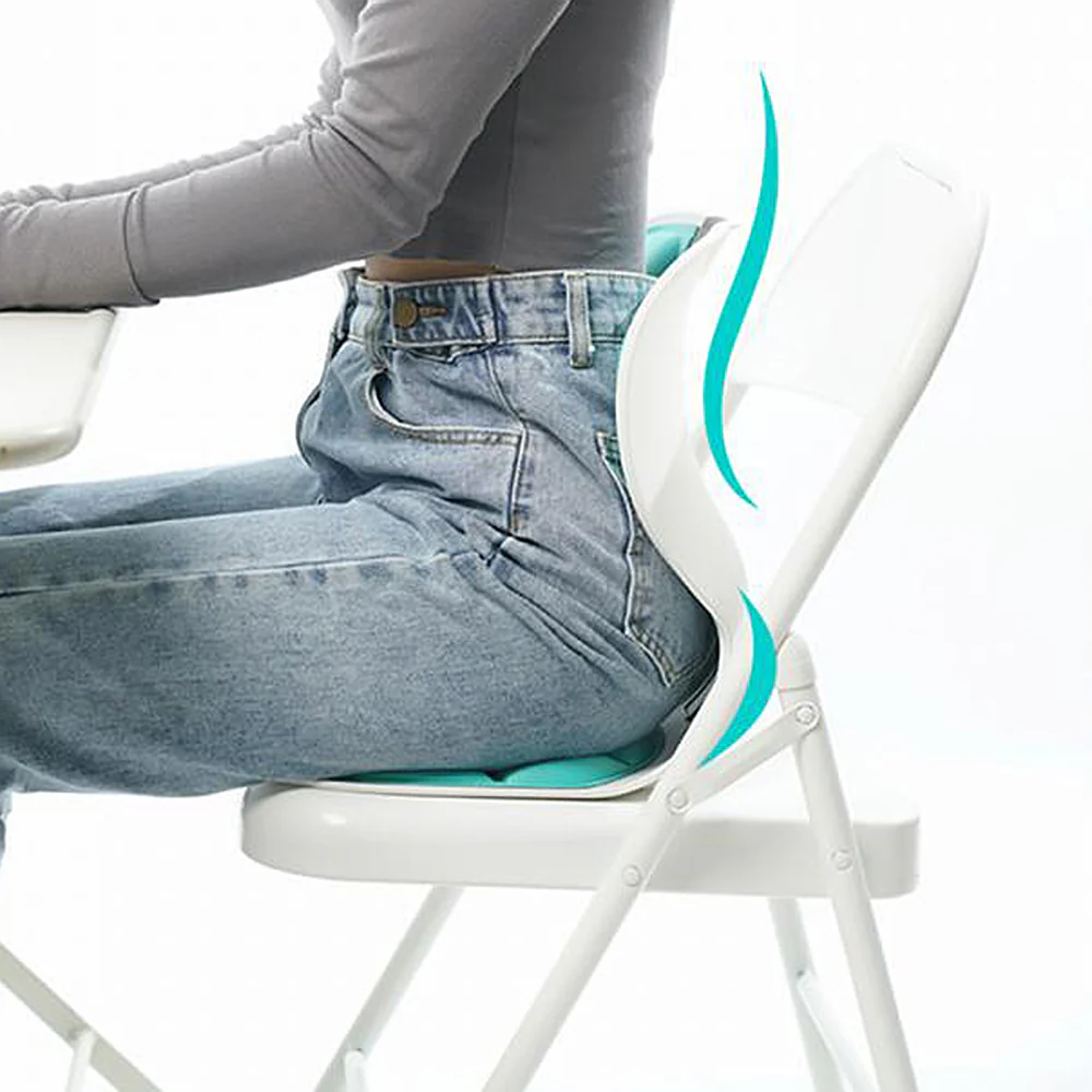 Posture Pro Lumbar Support - Image 7