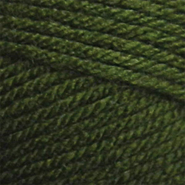 Premier Anti-Pilling Everyday Worsted Yarn - Image 7