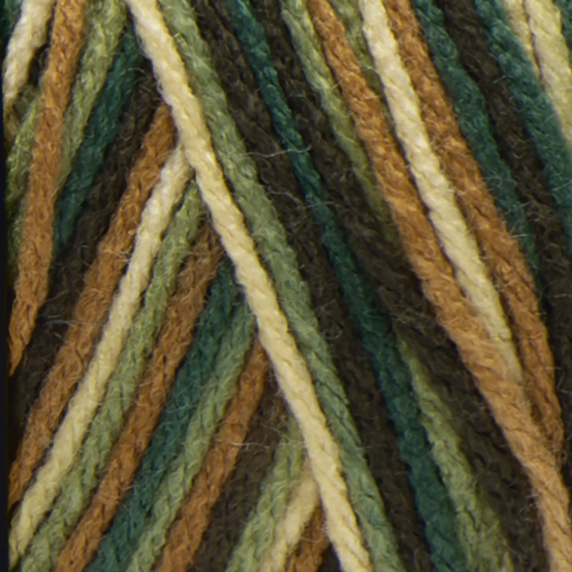 Red Heart Super Saver Yarn (Stripes, Prints, Variegated) - Image 18