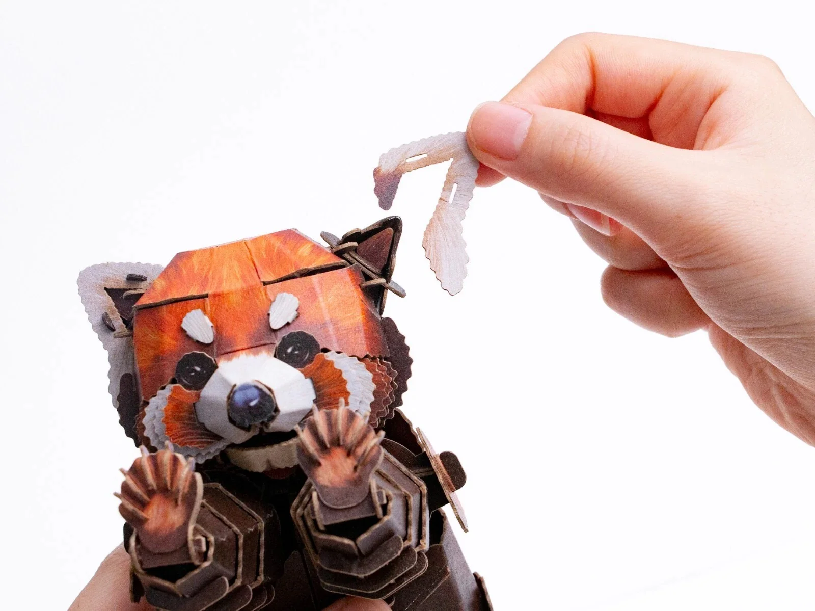 Red Panda 3D Puzzle - Image 3