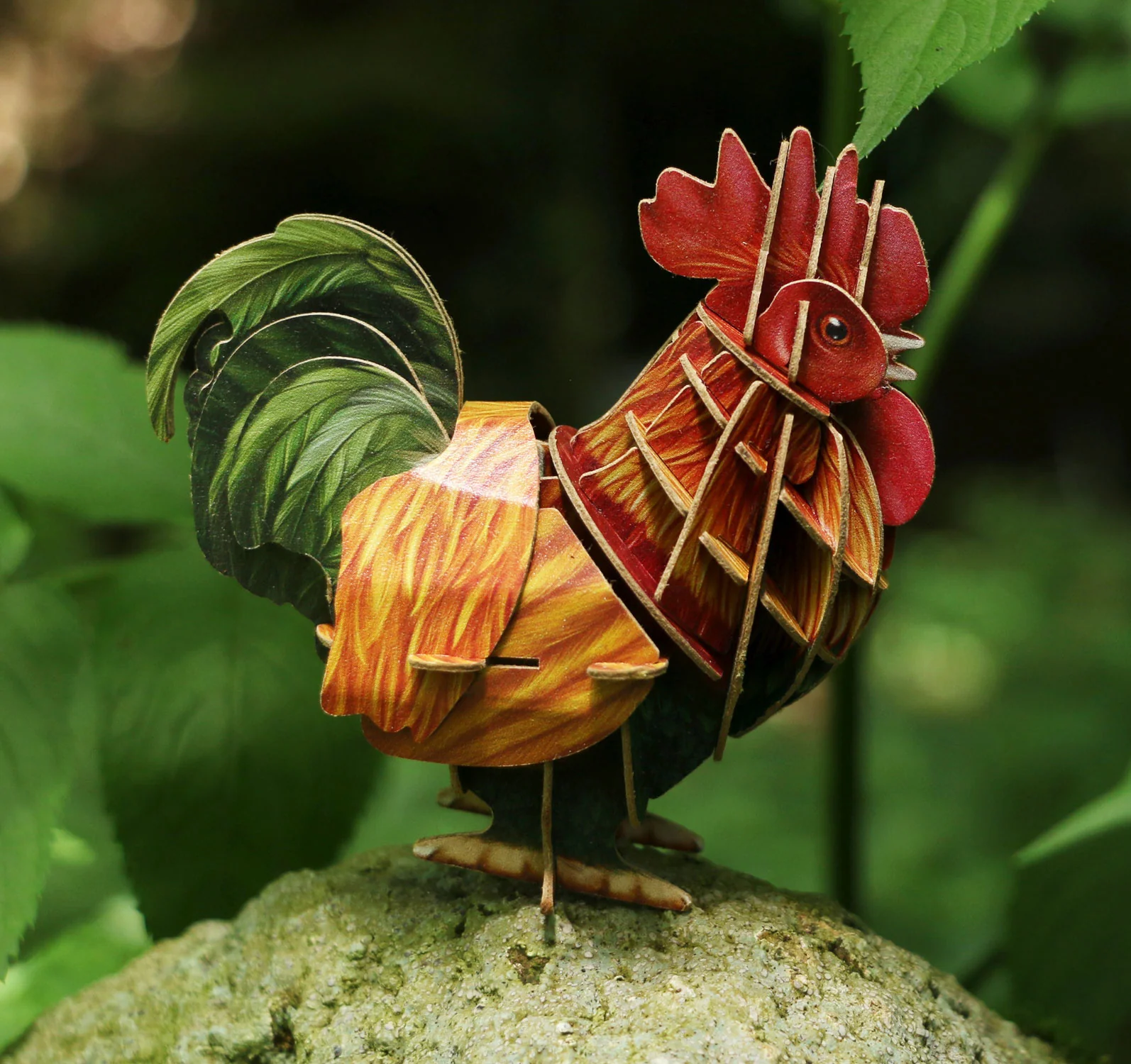 Rooster Voices of Nature Wood Model Kit - Image 4