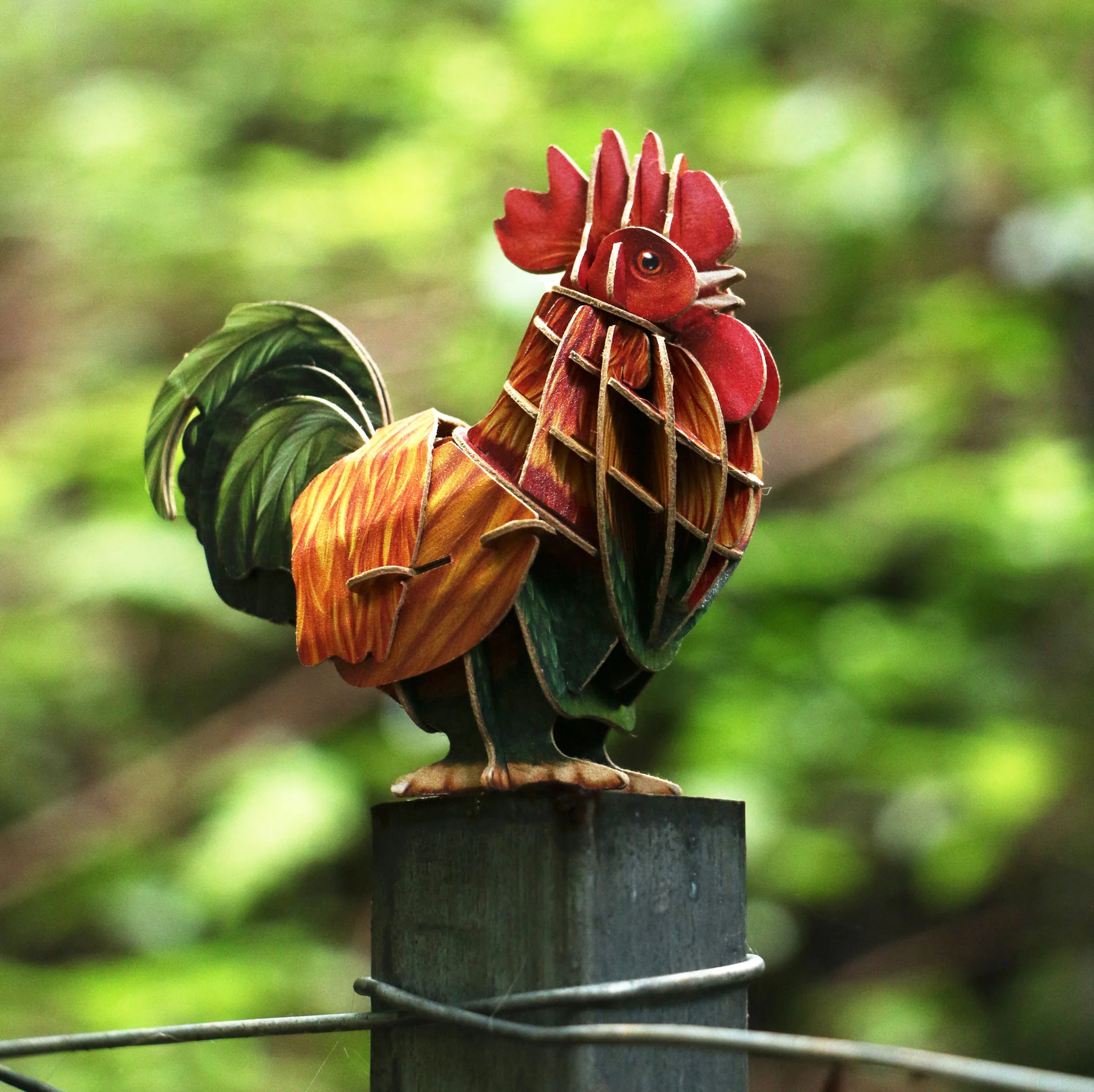Rooster Voices of Nature Wood Model Kit - Image 5