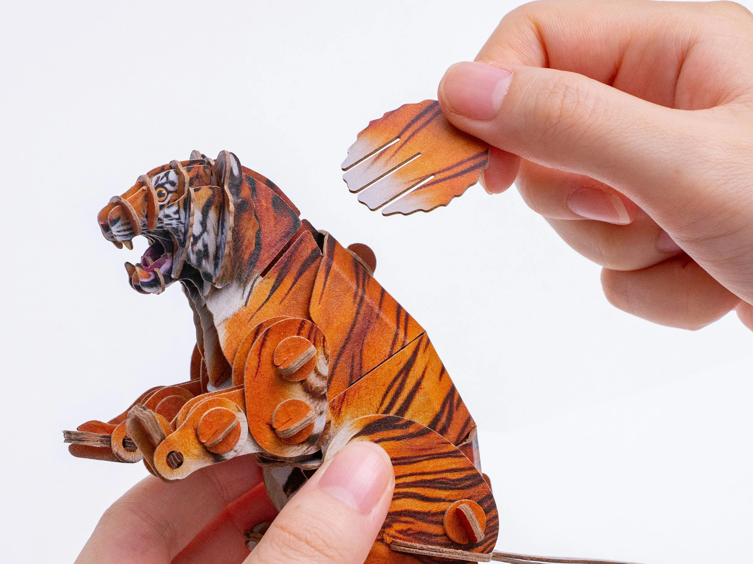 Siberian Tiger Voices of Nature Wood Model Kit - Image 5